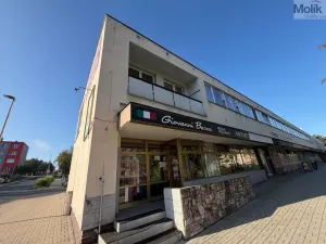 Prodej bytu 4+1, Louny, Slovenského národního povstání, 112 m2