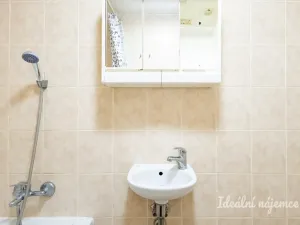 Pronájem bytu 1+kk, Praha, Lešenská, 26 m2