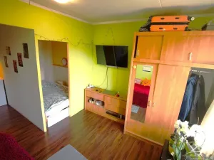 Prodej bytu 1+1, Jihlava, Slavíčkova, 30 m2