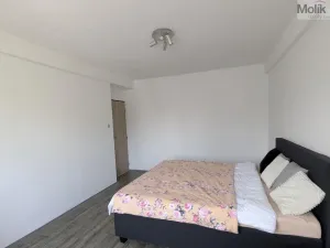 Prodej bytu 2+1, Bílina - Teplické Předměstí, M. Švabinského, 59 m2