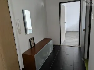 Prodej bytu 2+1, Bílina - Teplické Předměstí, M. Švabinského, 59 m2