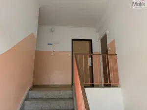 Prodej bytu 2+1, Bílina - Teplické Předměstí, M. Švabinského, 59 m2