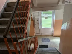 Prodej bytu 2+1, Bílina - Teplické Předměstí, M. Švabinského, 59 m2