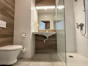Prodej bytu 1+kk, Dolní Morava, 28 m2