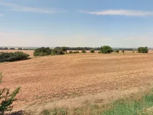 Prodej pole, Velvary, 1156 m2