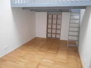 Pronájem bytu 1+kk, Praha - Žižkov, Hájkova, 40 m2