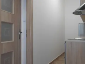 Pronájem bytu 1+kk, Praha - Žižkov, Hájkova, 40 m2