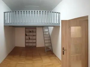 Pronájem bytu 1+kk, Praha - Žižkov, Hájkova, 40 m2