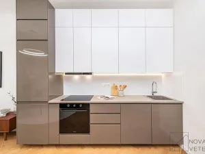 Prodej bytu 2+kk, Praha - Holešovice, Dělnická, 51 m2
