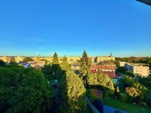Pronájem bytu 3+1, Olomouc, Lazecká, 66 m2