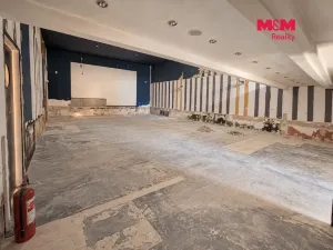 Pronájem obchodního prostoru, Jesenice, Budějovická, 237 m2