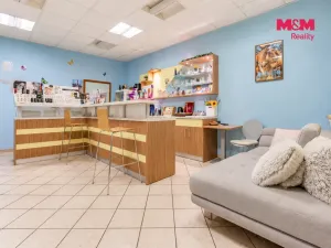 Prodej obchodního prostoru, Otrokovice, Tylova, 750 m2