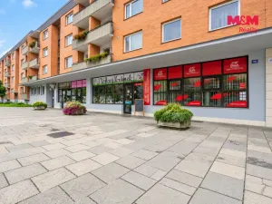 Prodej obchodního prostoru, Otrokovice, Tylova, 750 m2