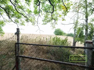 Prodej rodinného domu, Buk, 120 m2