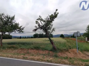 Prodej pozemku pro bydlení, Vrbice, 7124 m2