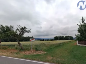 Prodej pozemku pro bydlení, Vrbice, 7124 m2