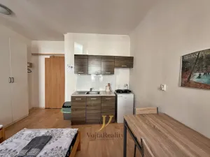 Pronájem bytu 1+kk, Olomouc, Sokolská, 20 m2