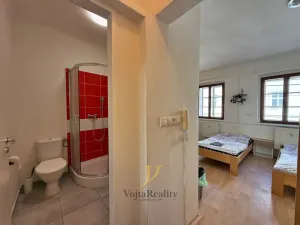 Pronájem bytu 1+kk, Olomouc, Sokolská, 20 m2