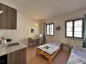 Pronájem bytu 1+kk, Olomouc, Sokolská, 20 m2