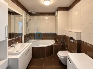 Pronájem bytu 2+kk, Olomouc - Hodolany, Nezvalova, 46 m2
