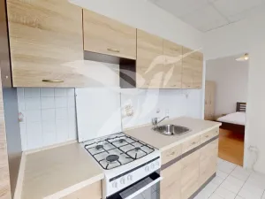 Pronájem bytu 2+1, Plzeň, Rychtaříkova, 53 m2