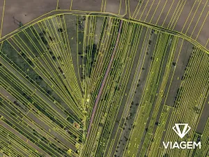 Prodej podílu sadu/vinice, Mutěnice, 511 m2