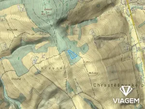 Prodej podílu lesa, Vizovice, 1886 m2