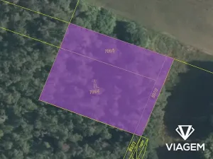 Prodej lesa, Sudovo Hlavno, 2054 m2