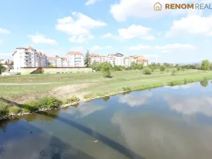Prodej bytu 1+kk, Olomouc, Rooseveltova, 46 m2