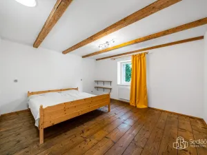 Prodej vícegeneračního domu, Svatava, Pobřežní, 260 m2