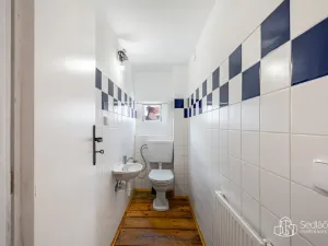 Prodej vícegeneračního domu, Svatava, Pobřežní, 260 m2