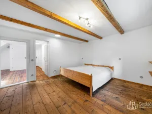 Prodej vícegeneračního domu, Svatava, Pobřežní, 260 m2
