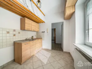 Prodej vícegeneračního domu, Svatava, Pobřežní, 260 m2