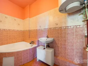 Prodej vícegeneračního domu, Svatava, Pobřežní, 260 m2