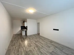 Pronájem bytu 2+kk, Most, Josefa Ševčíka, 40 m2