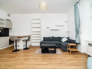 Pronájem bytu 1+kk, Praha - Žižkov, Fibichova, 32 m2