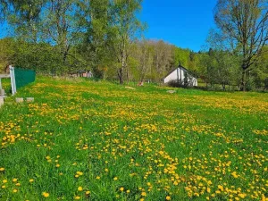 Dražba pozemku pro bydlení, Omlenice, 4505 m2