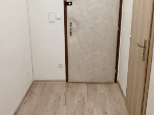 Prodej bytu 1+kk, České Budějovice, V. Volfa, 31 m2