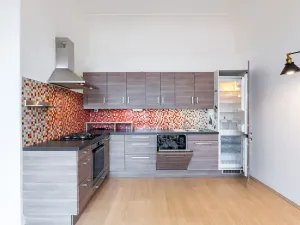 Pronájem bytu 2+kk, Praha - Nové Město, Novomlýnská, 57 m2