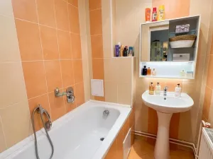Prodej bytu 4+kk, Teplice, Ruská, 144 m2