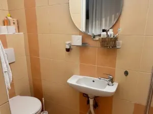 Prodej bytu 4+kk, Teplice, Ruská, 144 m2