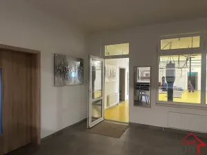 Pronájem ordinace, Napajedla, Dr. Beneše, 375 m2
