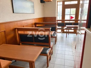 Pronájem restaurace, Otrokovice, K. H. Máchy, 165 m2