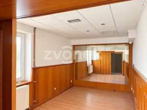Pronájem restaurace, Otrokovice, K. H. Máchy, 165 m2