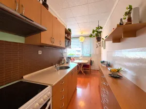 Prodej bytu 3+1, Hulín, Družba II, 74 m2