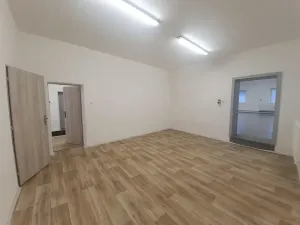 Pronájem výrobních prostor, Bílovice nad Svitavou, Obřanská, 249 m2