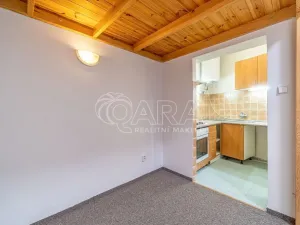 Pronájem bytu 1+kk, Dřevohryzy, 27 m2
