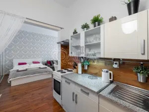 Pronájem bytu 1+kk, Praha - Nové Město, Růžová, 39 m2