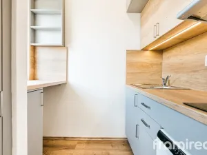 Pronájem bytu 1+kk, Brno, Vídeňská, 30 m2