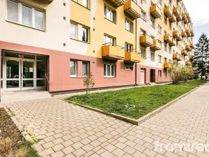 Pronájem bytu 1+kk, Brno, Vídeňská, 30 m2
